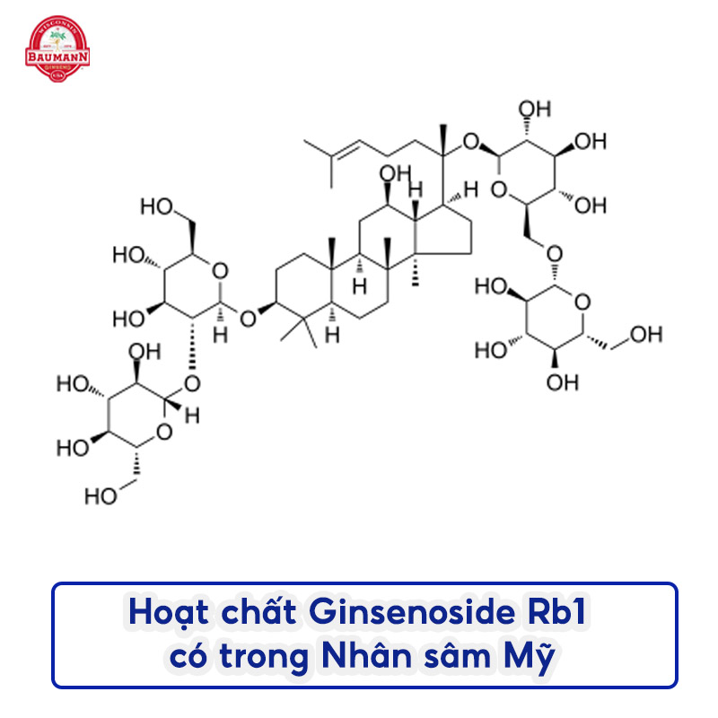 Hoạt chất Ginsennoside Rb1 có trong nhân sâm Mỹ