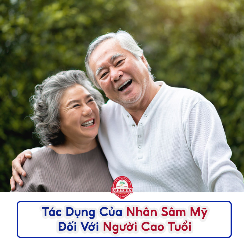 Tác dụng của nhân sâm Mỹ đối với người cao tuổi