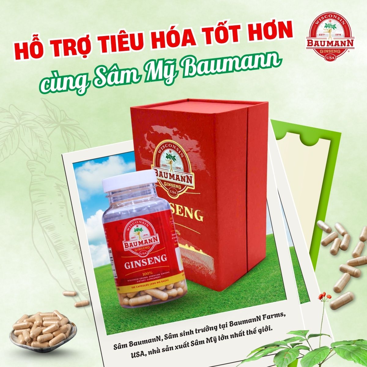 Hỗ trợ hệ tiêu hóa và cải thiện hấp thu dinh dưỡng
