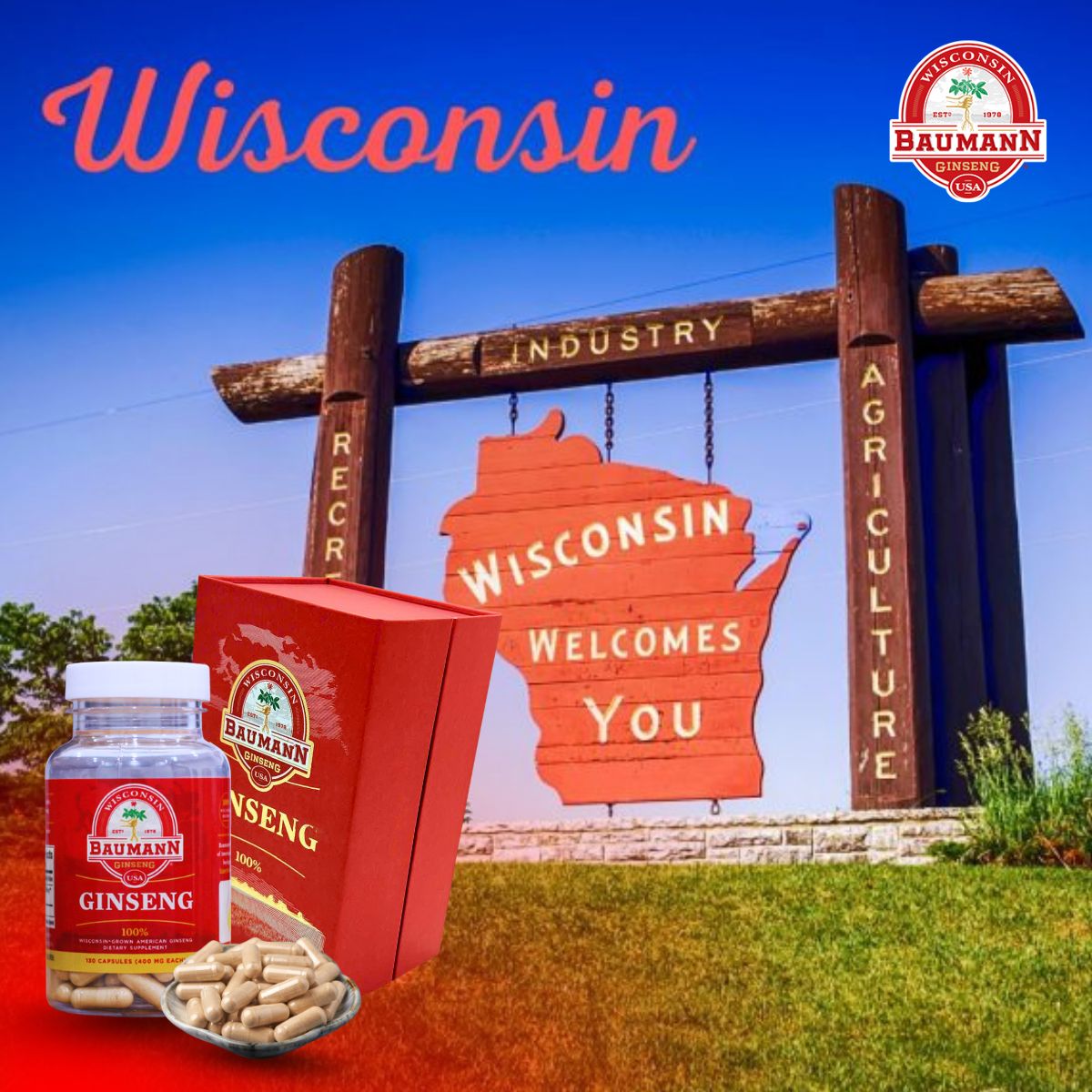 Sâm Mỹ Baumann: Chất lượng từ trang trại gia đình Wisconsin