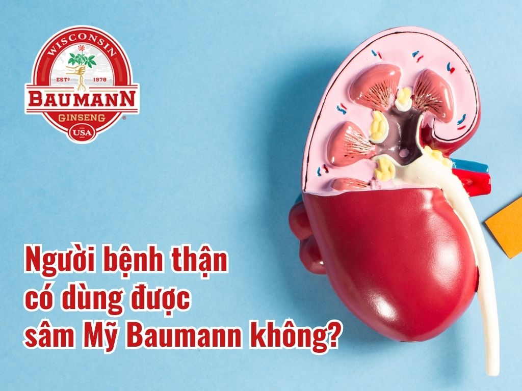 Người bệnh thận có dùng được sâm Mỹ Baumann không?