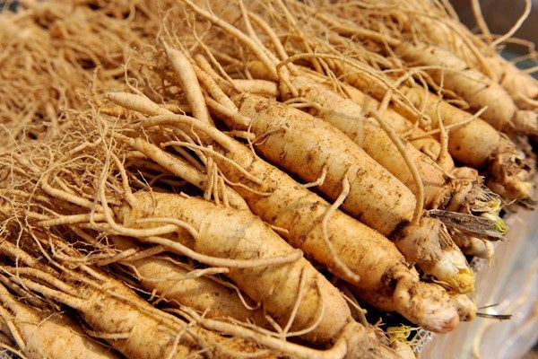 Sâm Hàn Quốc: Di sản từ vùng Geumsan và Punggi