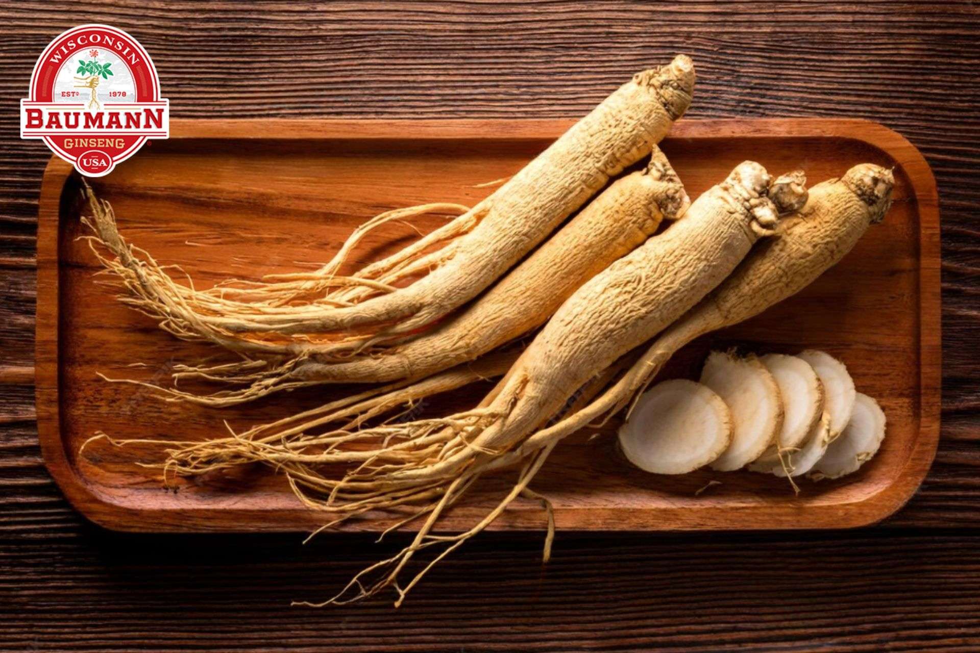Nguồn gốc của nhân sâm Mỹ và đặc điểm nhận biết của dòng sâm này