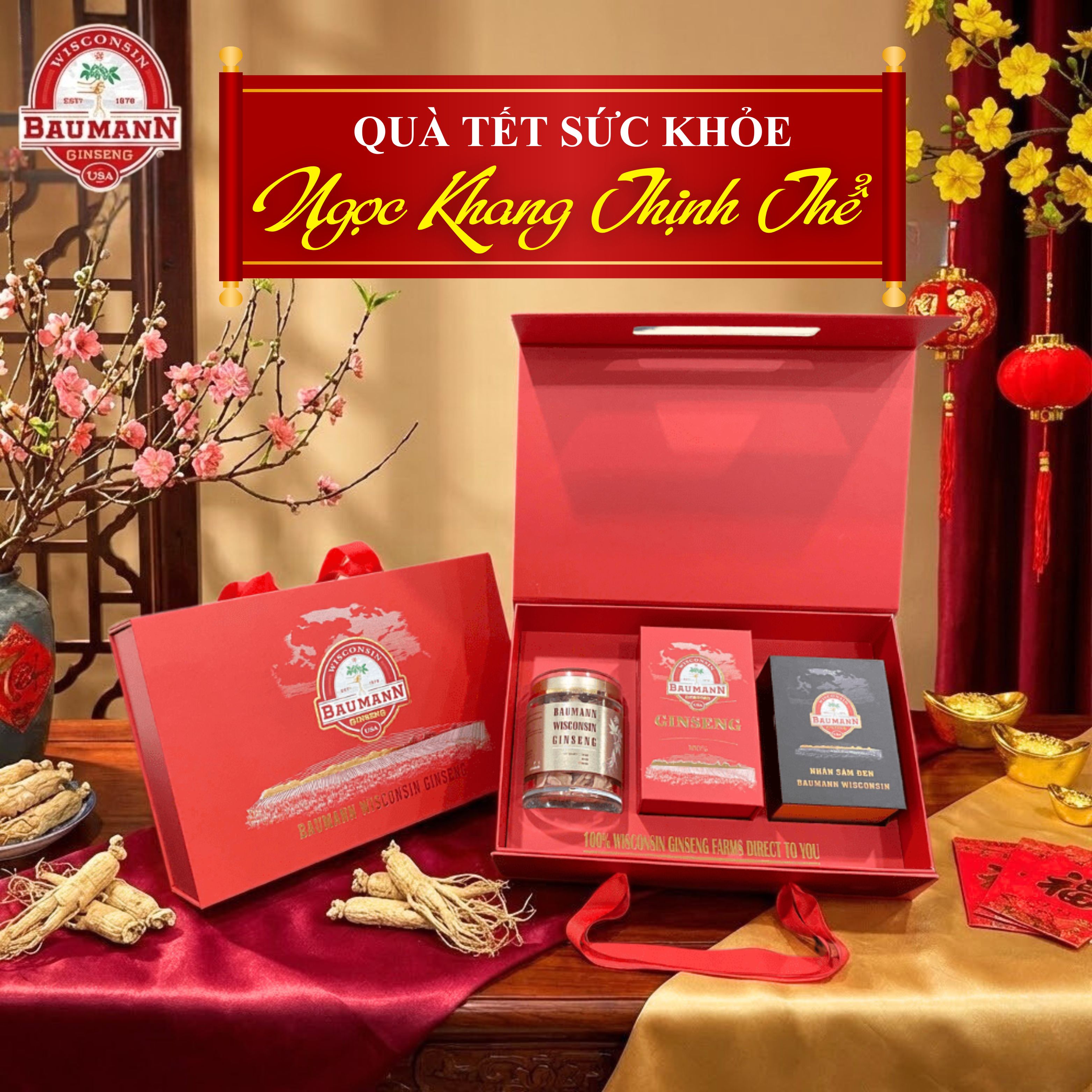 Mua sâm Wisconsin chính hãng ở đâu Làm Quà Tết 2026?