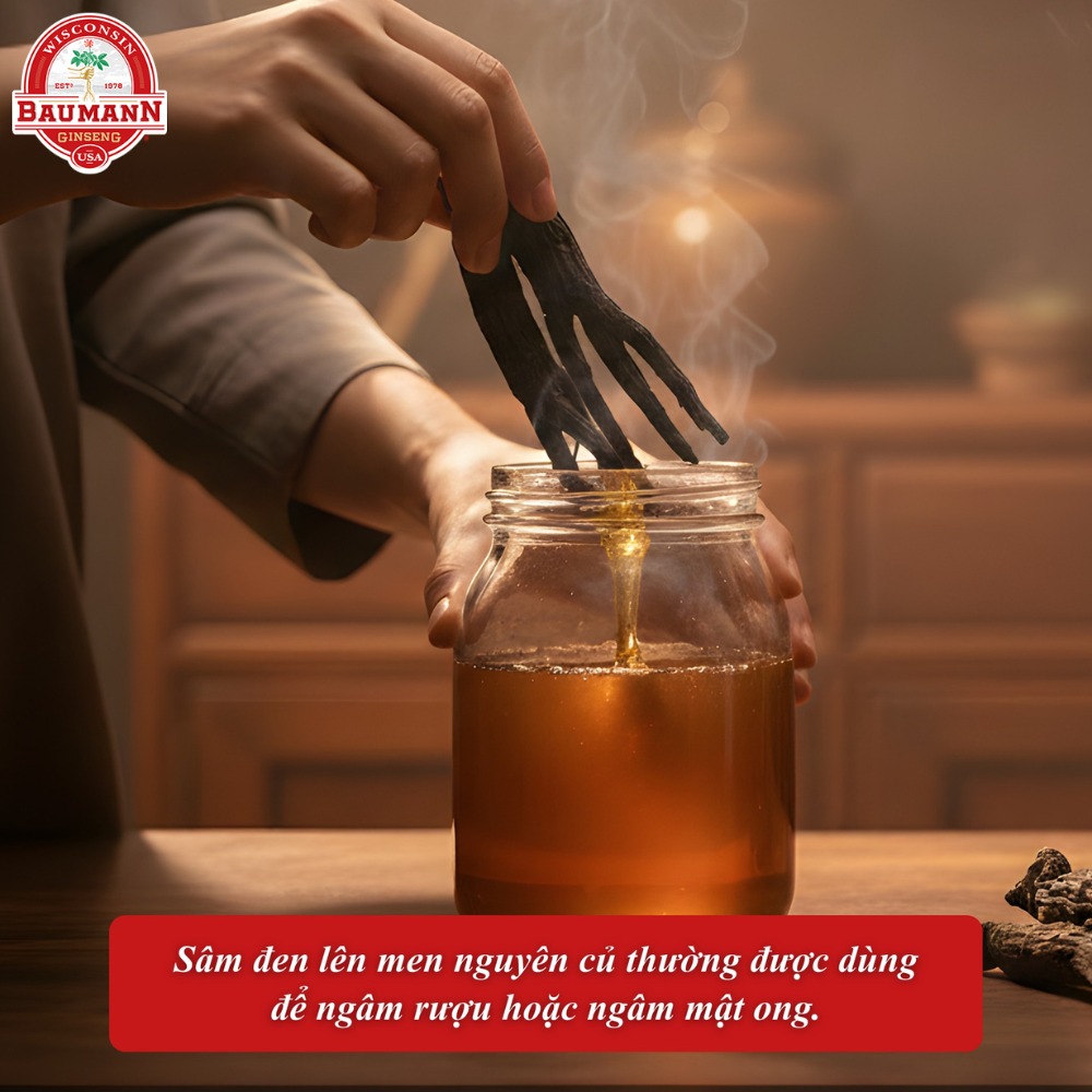 Sâm đen có tác dụng gì? Khám phá quá trình lên men đỉnh cao từ Sâm Mỹ Baumann