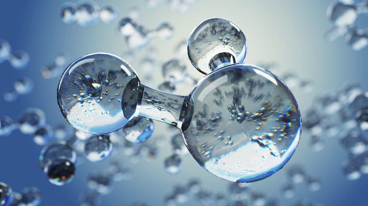 Tìm hiểu công dụng chống oxy hóa của sâm Mỹ Baumann